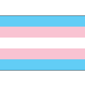 trans flag