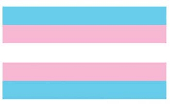 trans flag