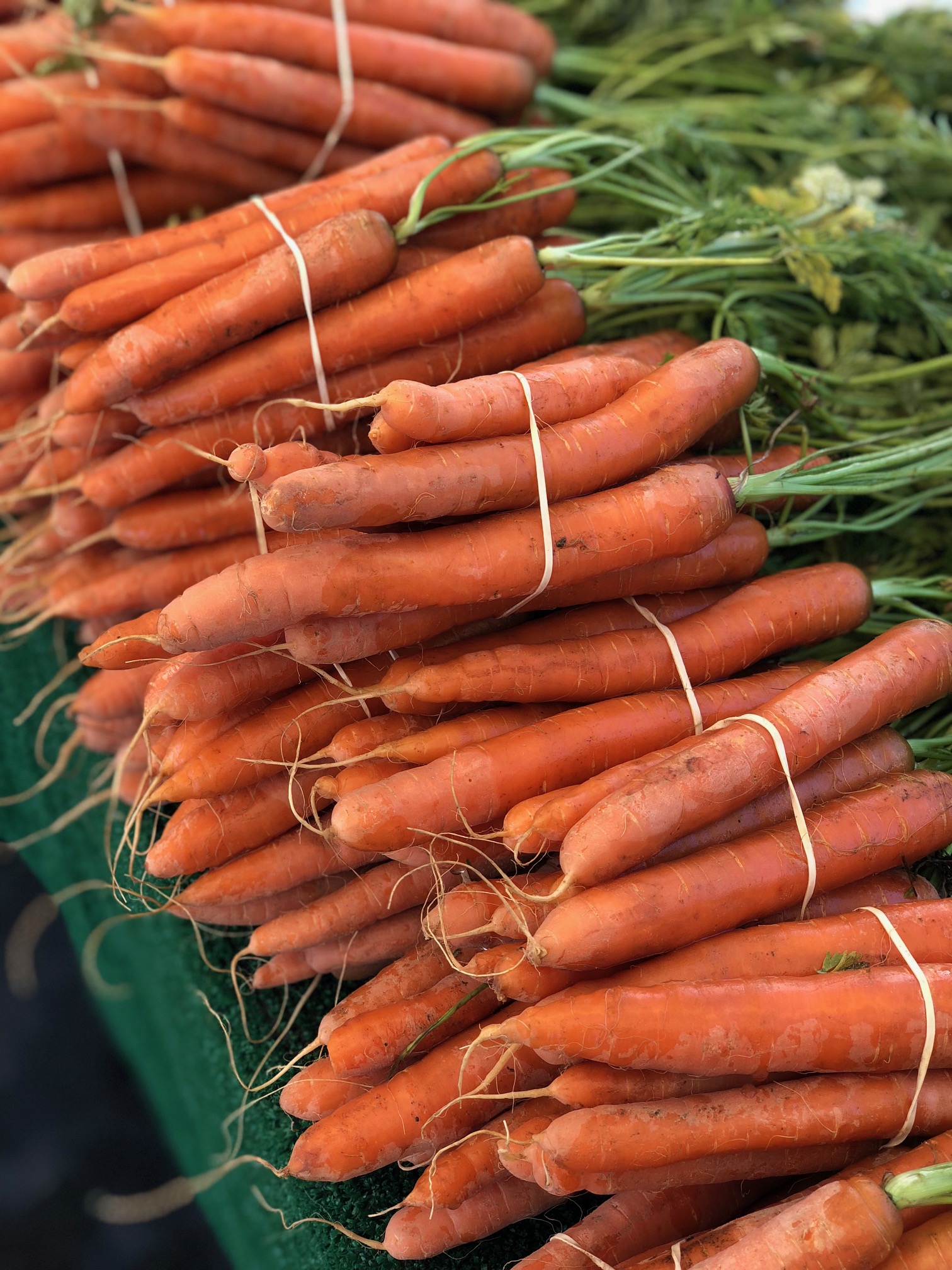 FM Carrots