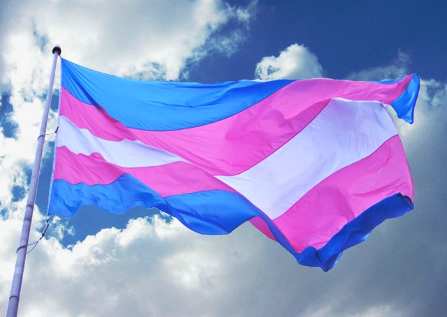 Transgender Flag