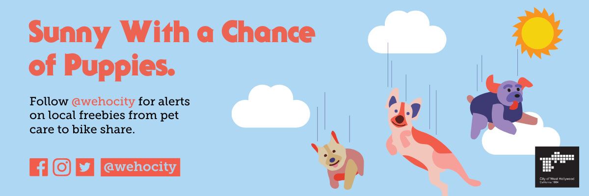 Sunny With a Chance of Puppies Banner