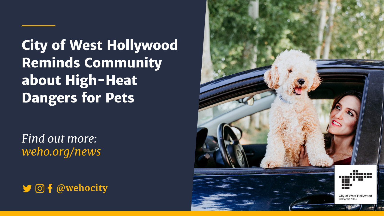 News Release High-Heat Dangers for Pets