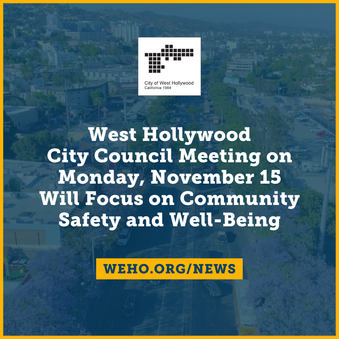 City Council Meeting on Public Safety