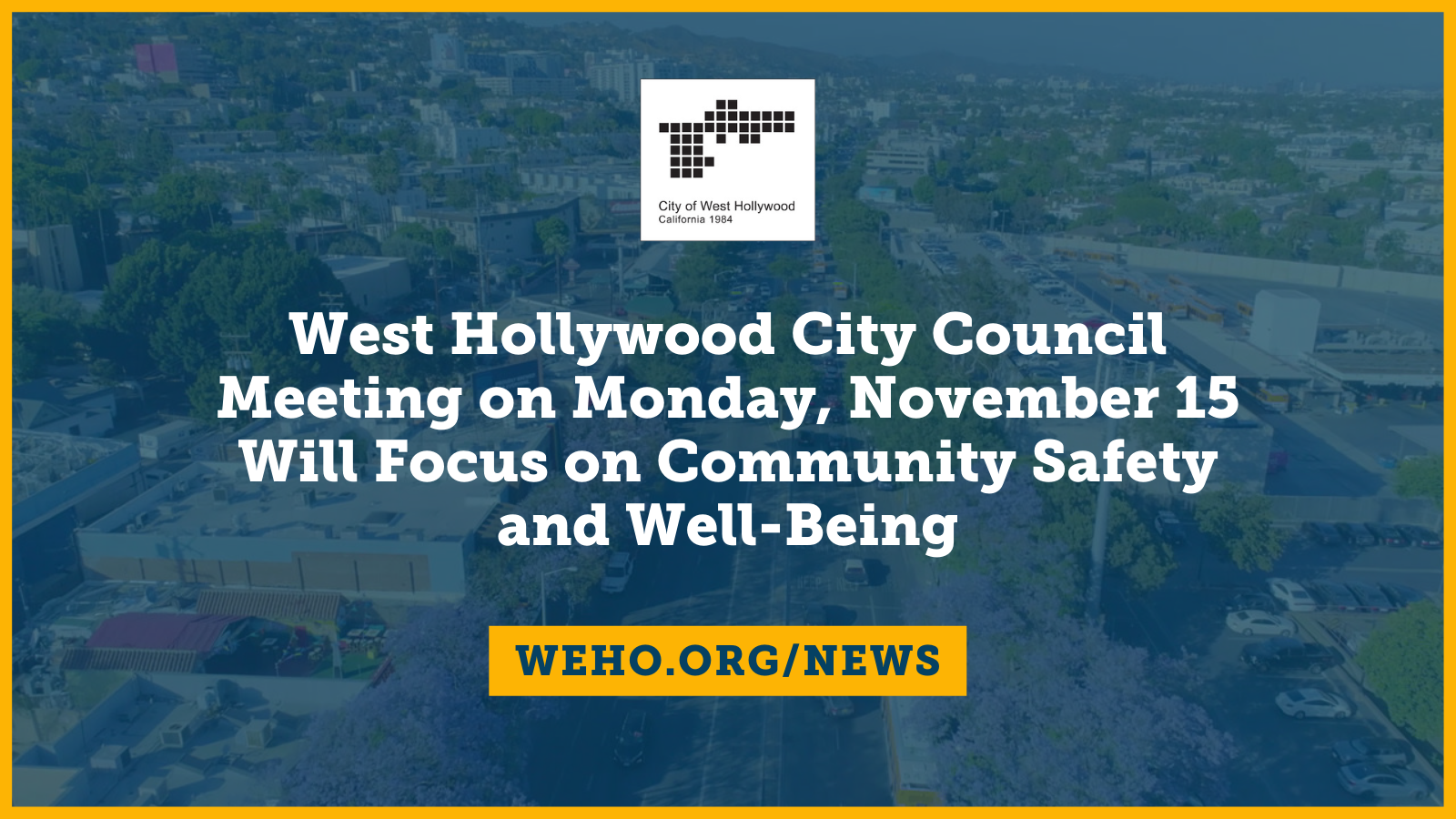 City Council Meeting on Public Safety