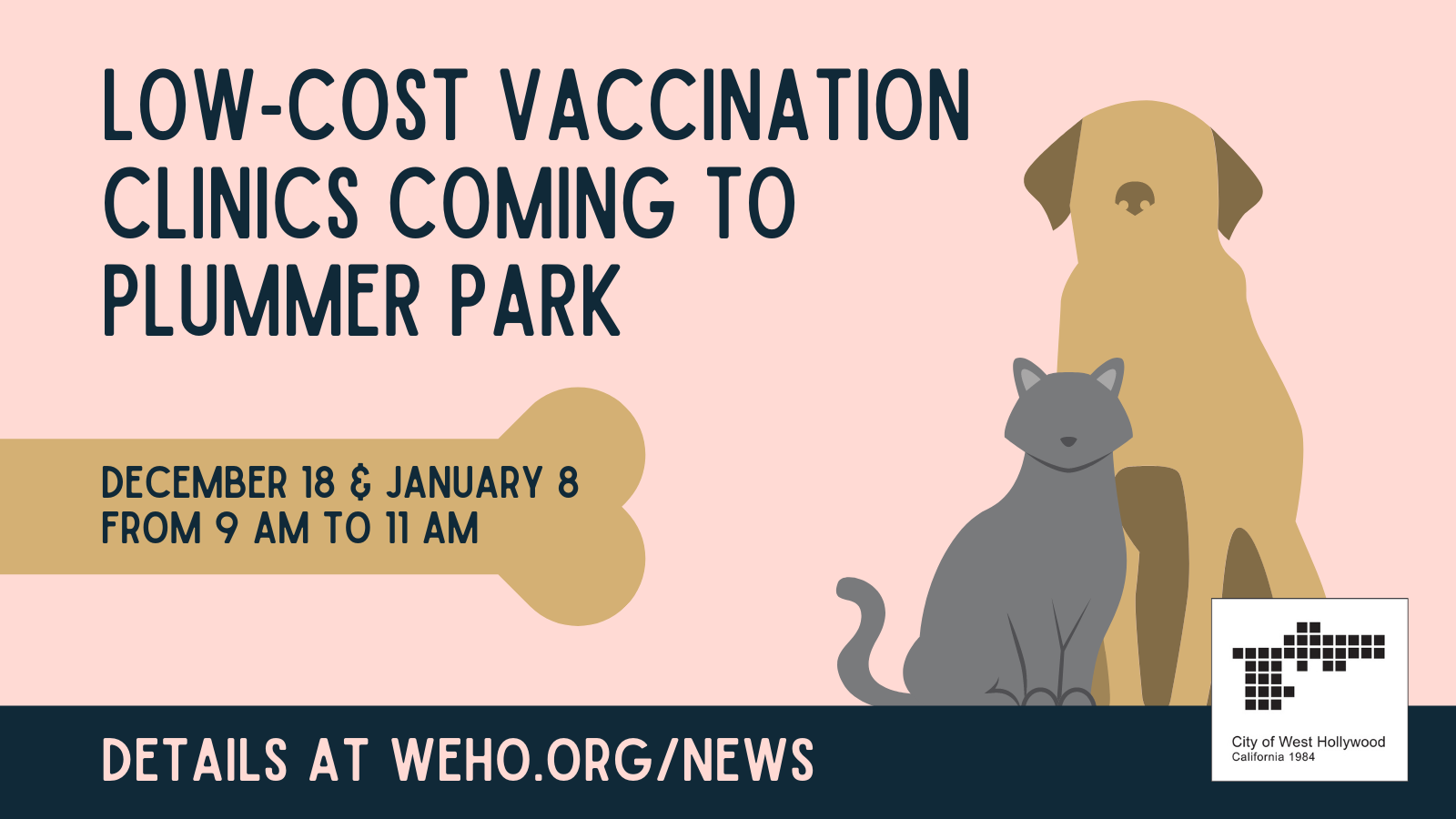 Low-Cost Vaccination Clinics