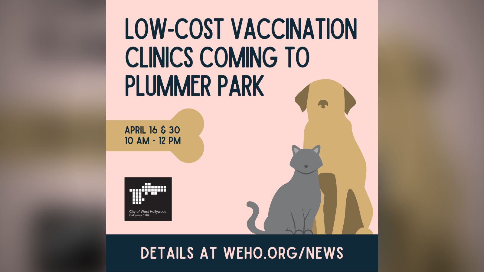 Low-Cost Vaccination Clinics