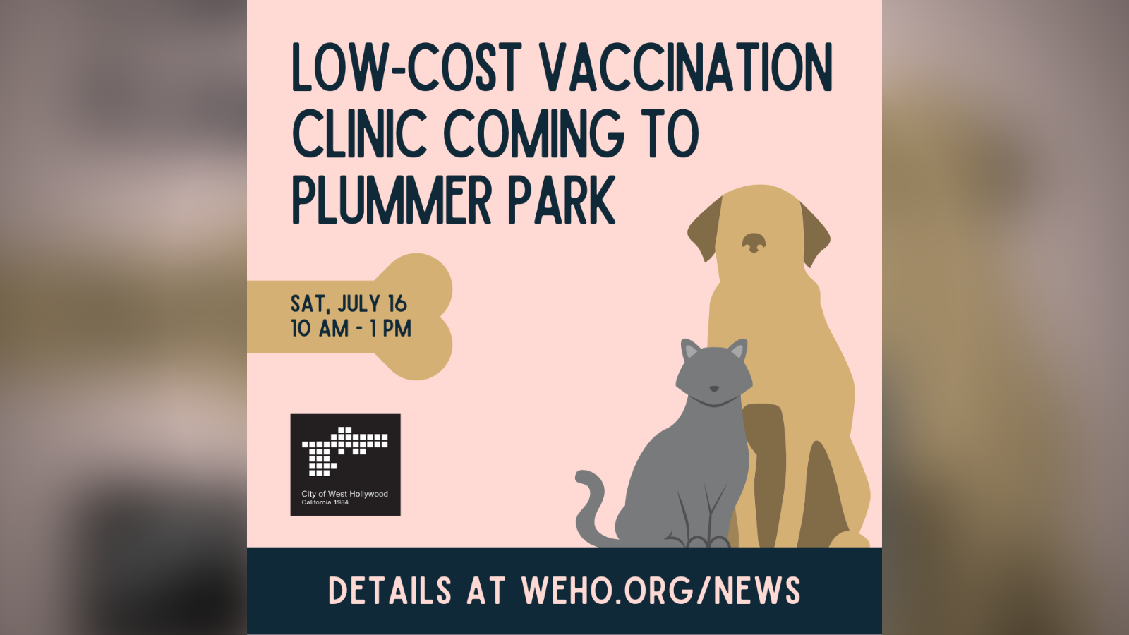 Low-Cost Vaccination Clinic - July 2022