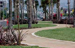 Pathway median at Doheny