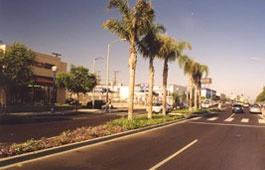 Palm trees line medians on the eastside