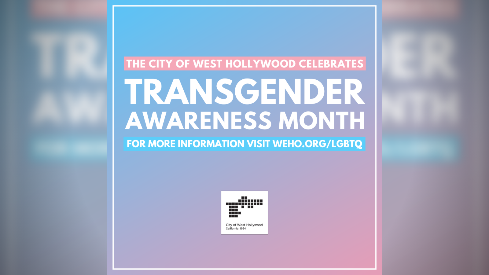 Transgender Awareness Month 2022