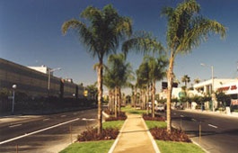 Pedestrian pathway near Doheny