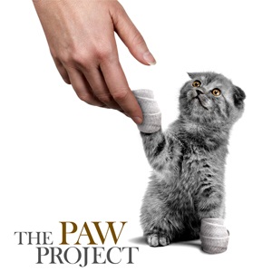 Pawproject