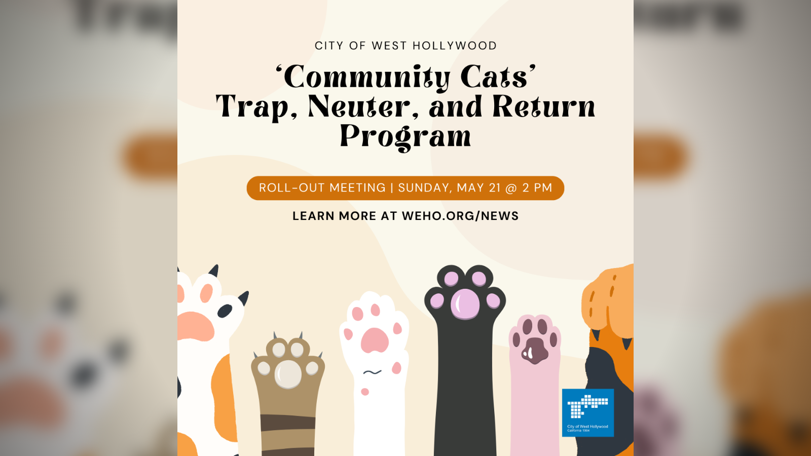 Community Cats - Trap, Neuter, and Return Program