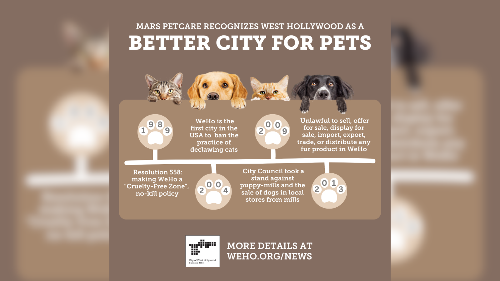 Better City For Pets