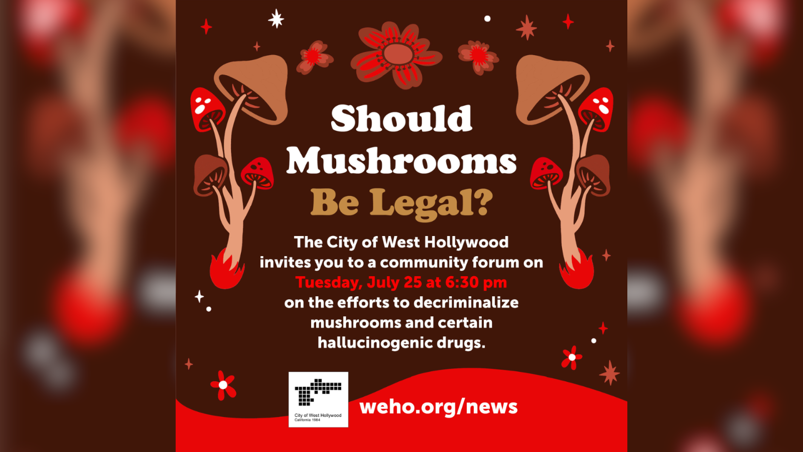 Community Forum - Psilocybin and Hallucinogenic Drugs