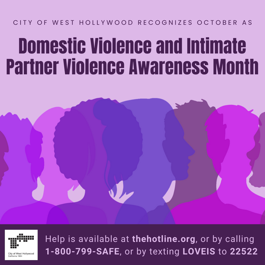 Domestic Violence and Intimate Partner Month 2024