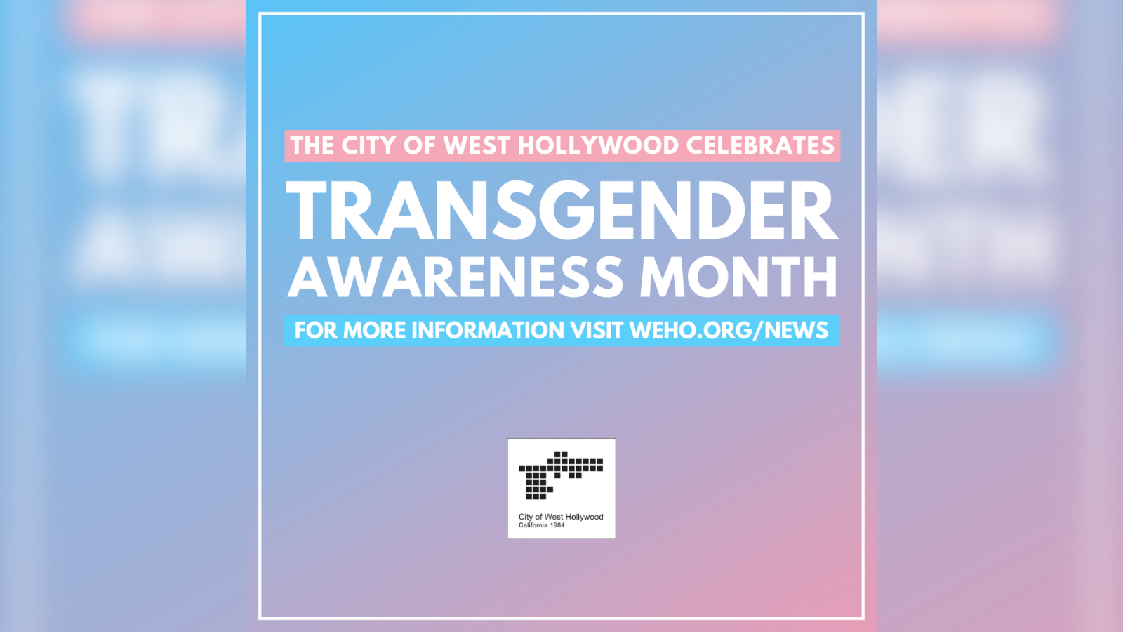 Transgender Awareness Month 2024