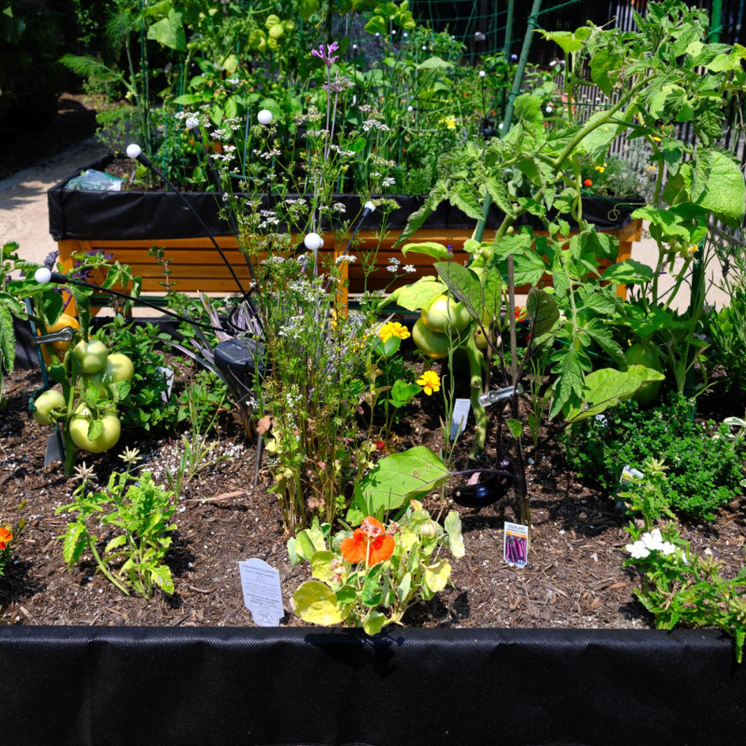 Community Garden