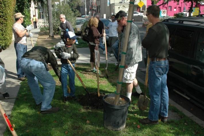 Tree Planting